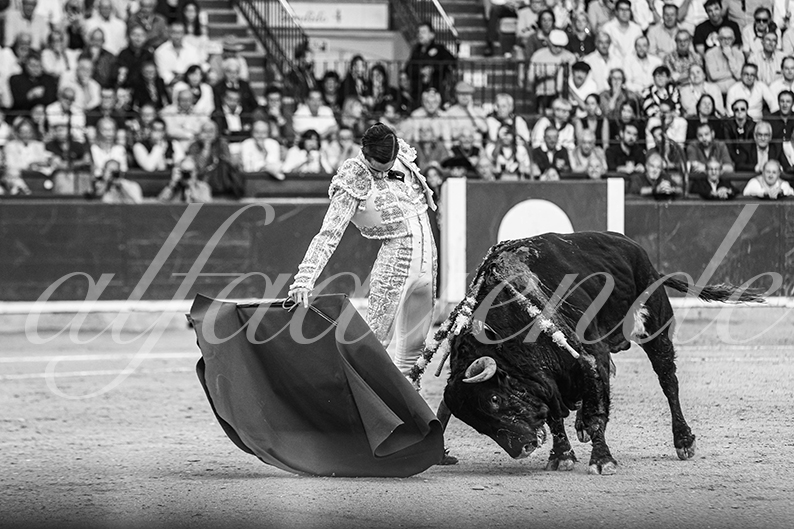 20261017 zaragoza fd 005