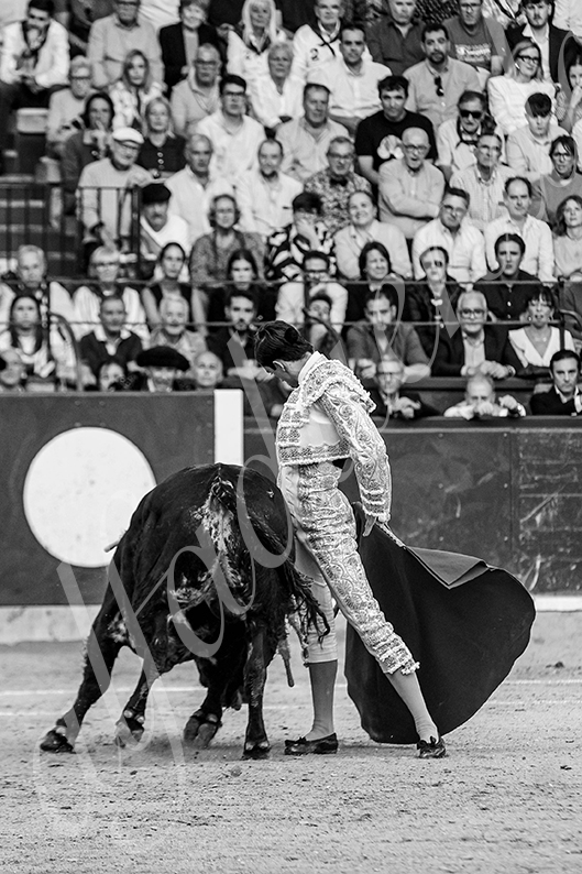 20261017 zaragoza fd 004