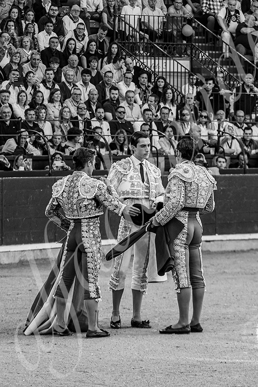20261017 zaragoza fd 003