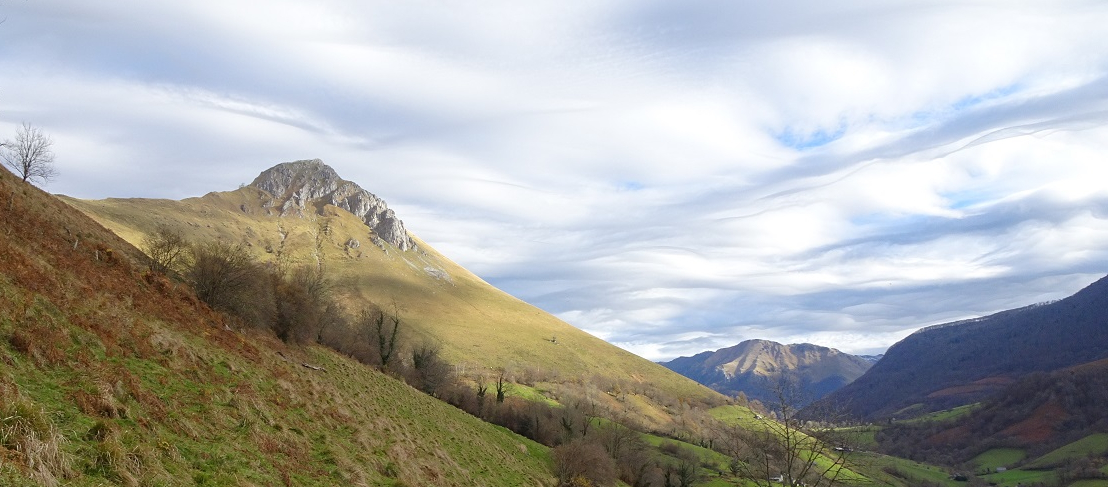Saraille1