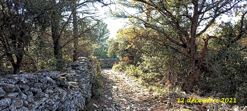 13 beau sentier