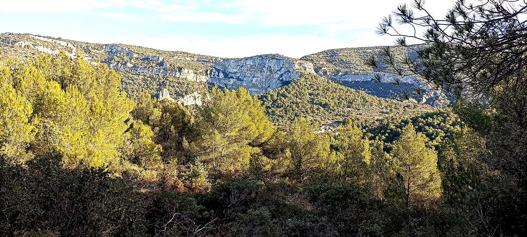 14 panorama