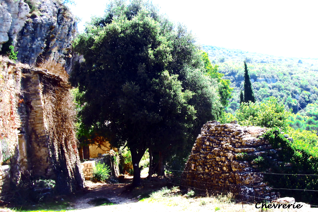13 chevrerie