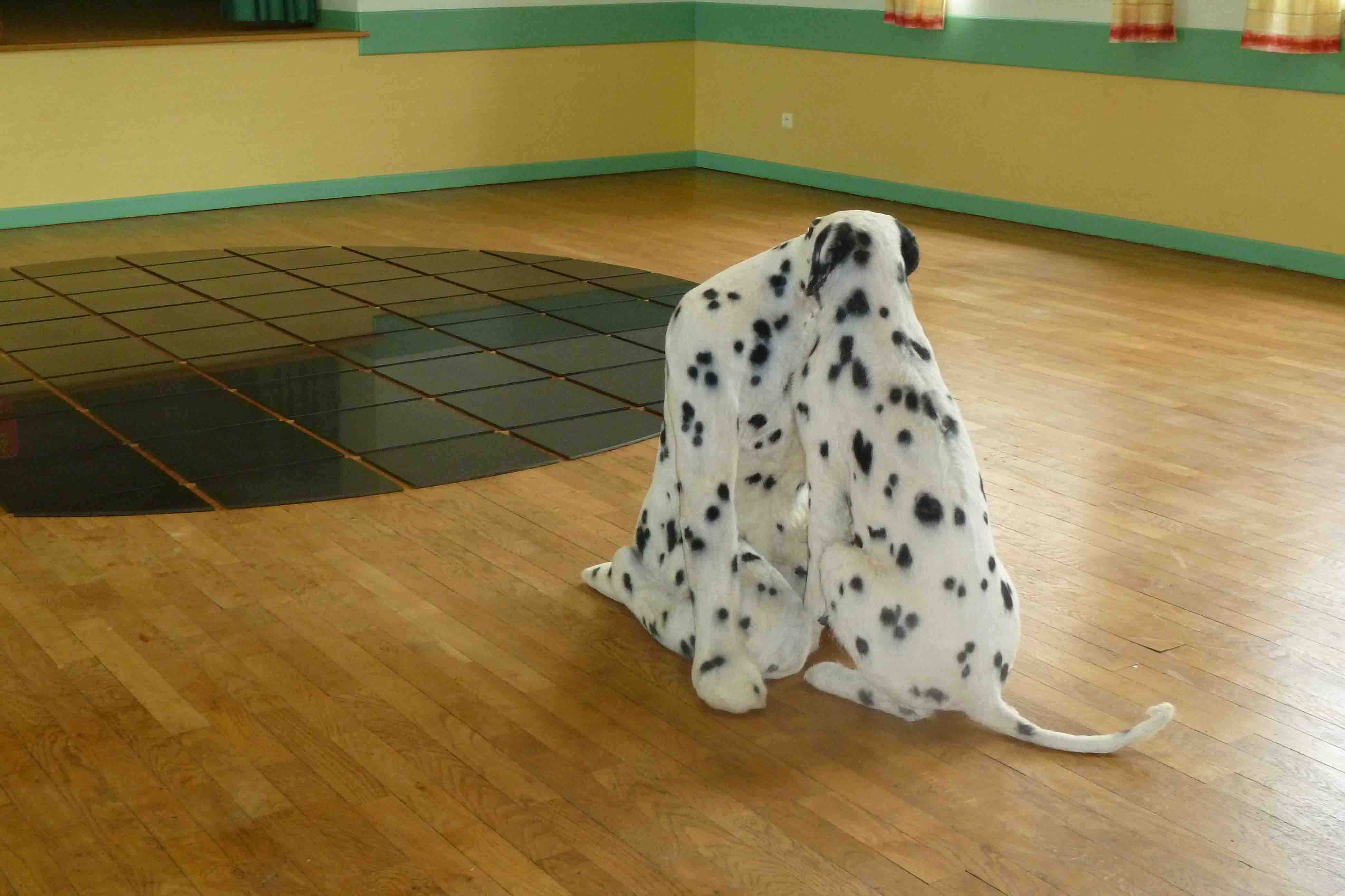 1005