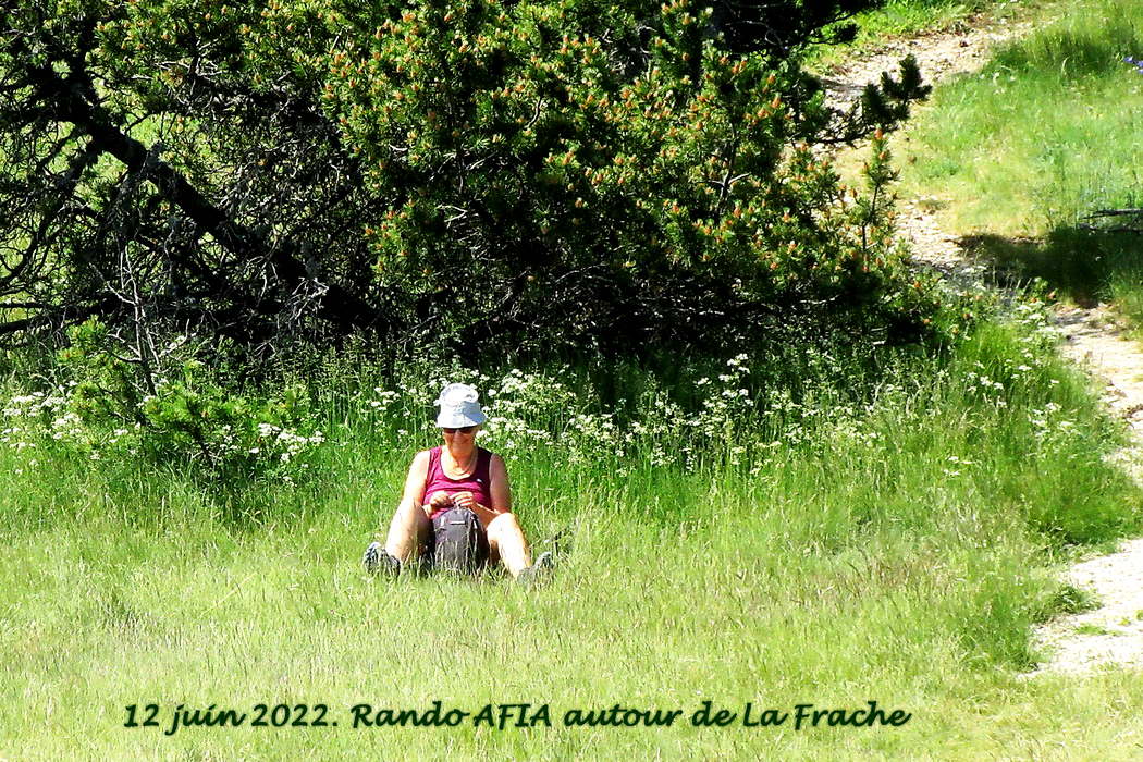 04 martine