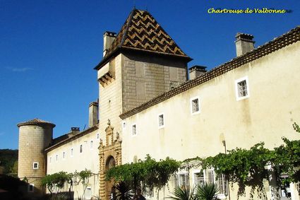 11 chartreuse cour