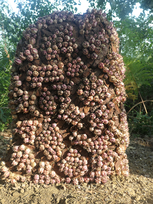 P1000751