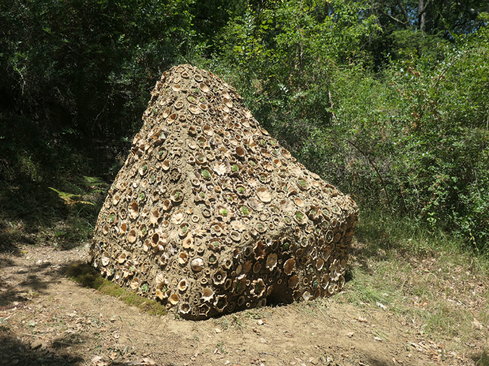 P1000829