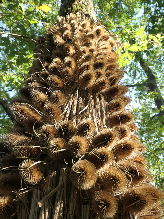 P1021302