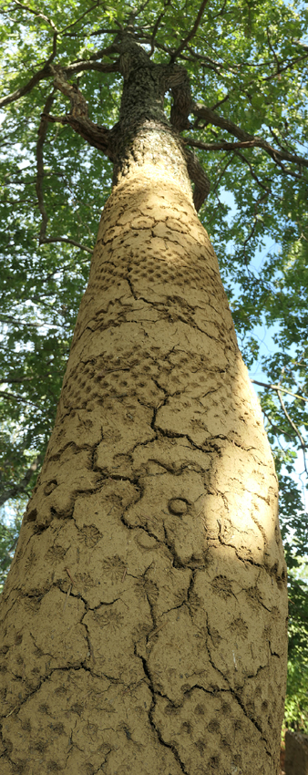 P1021324