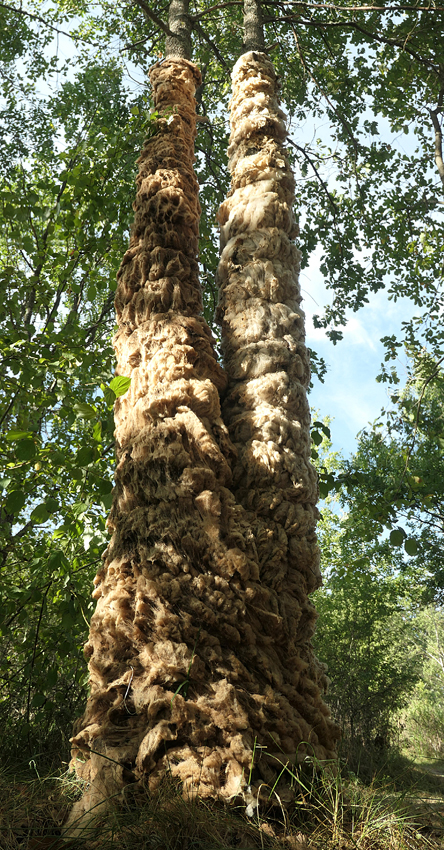P1021330