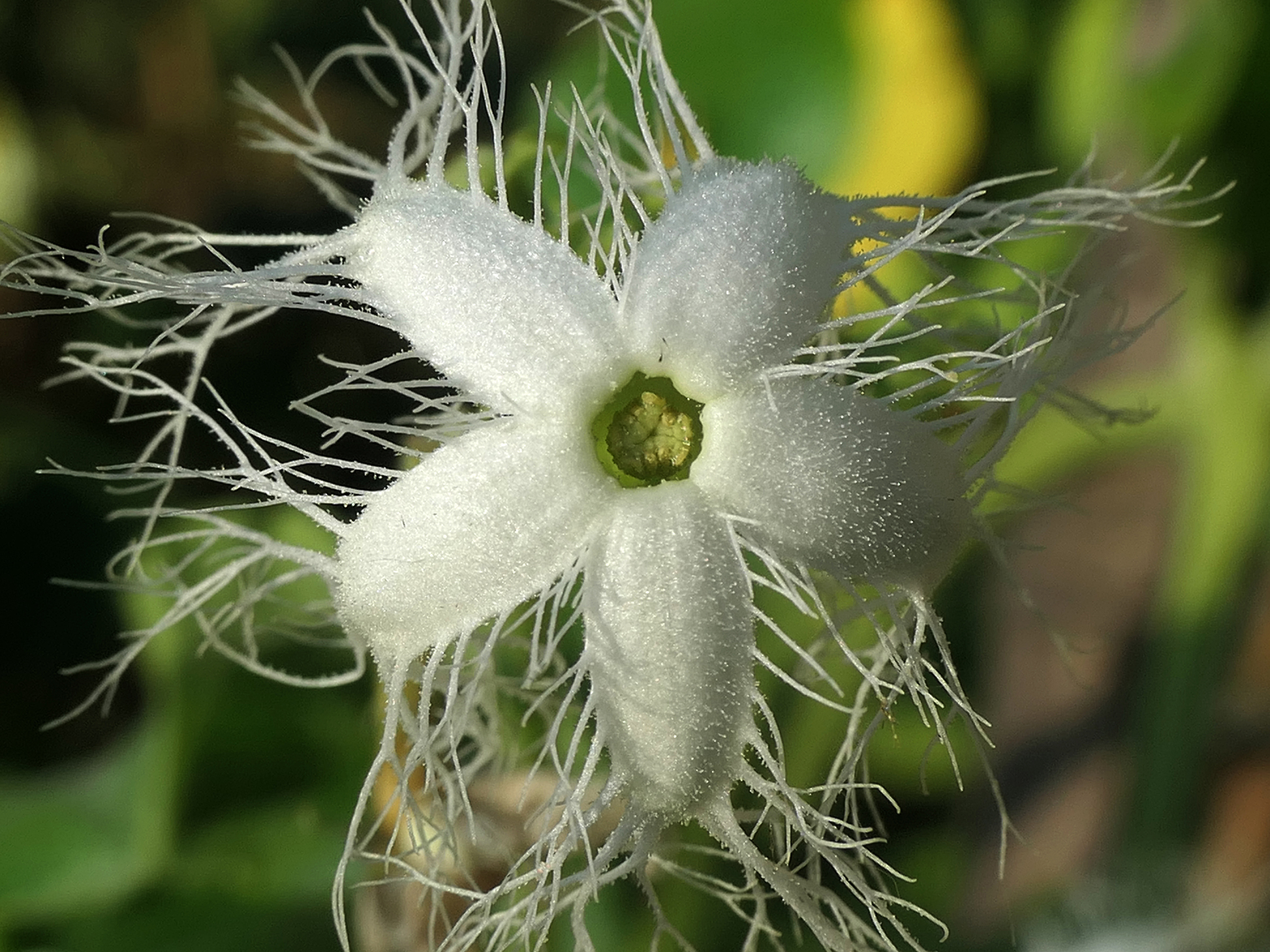 P1000771