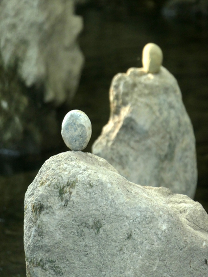 P1001148