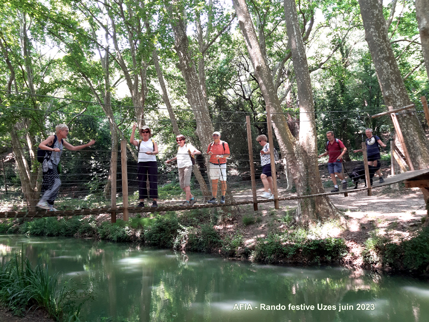 Pont de singe 2