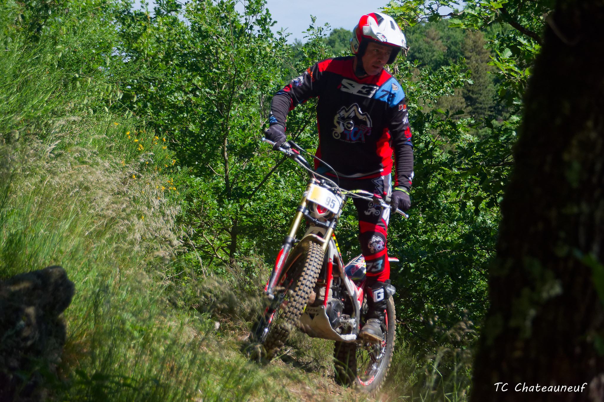 Dsc 2372 8736 dxo
