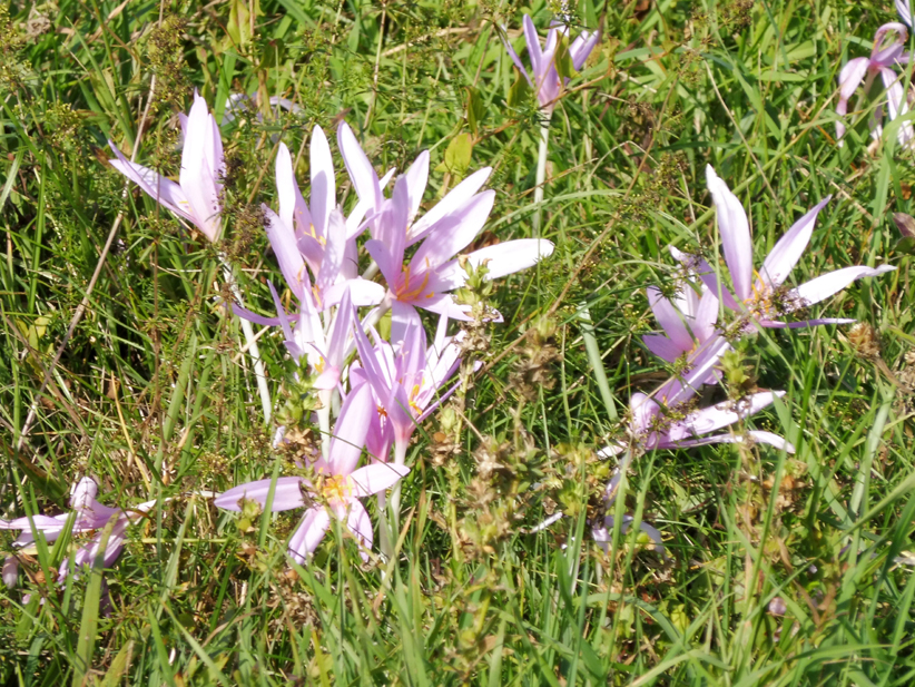 P1170067