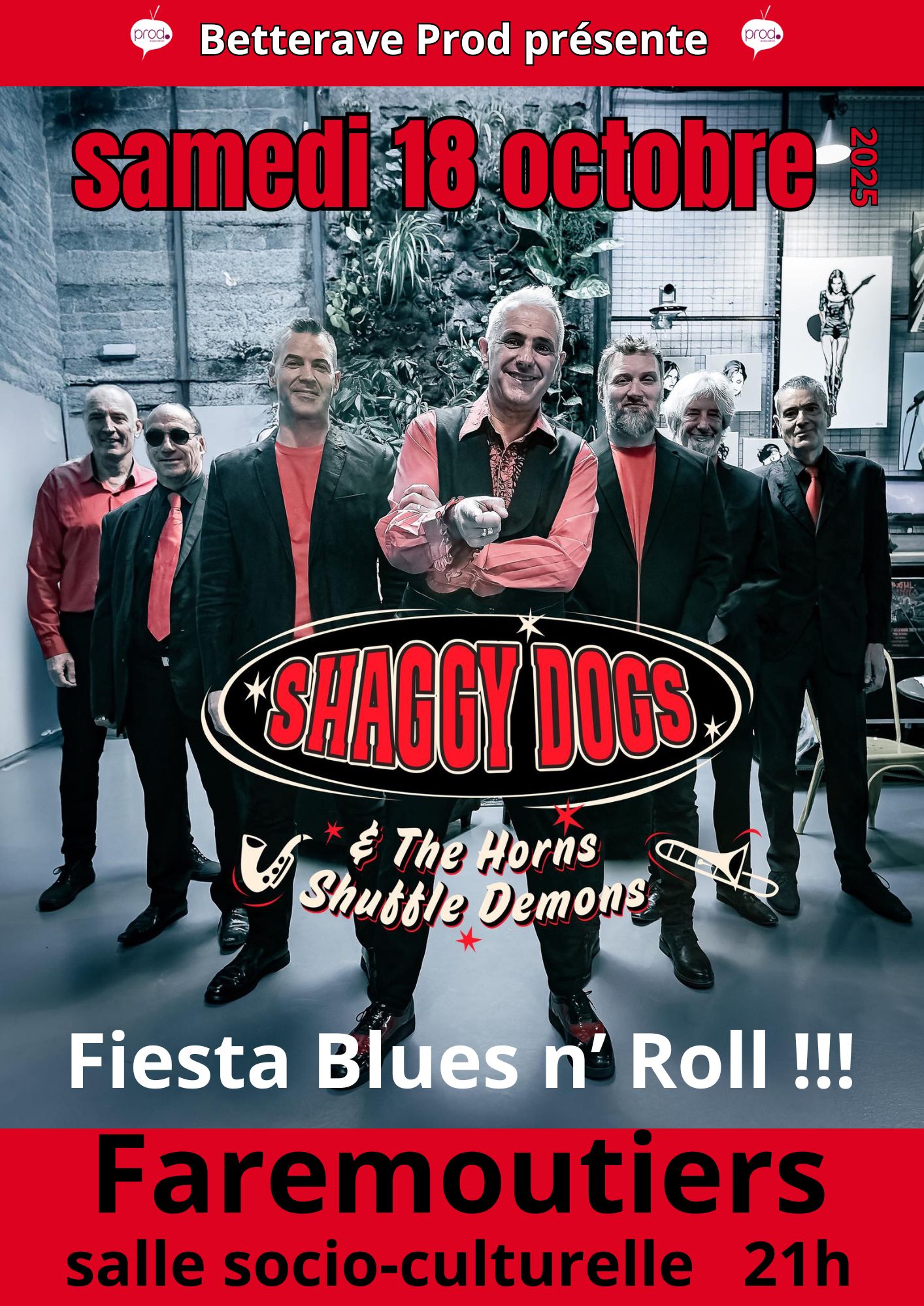 Affiche-Shaggy-Dogs