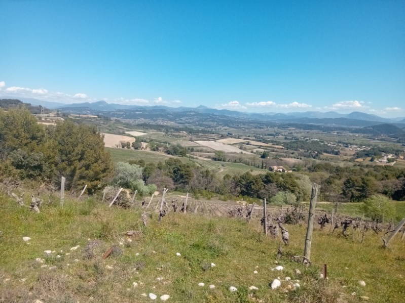 Image000002002