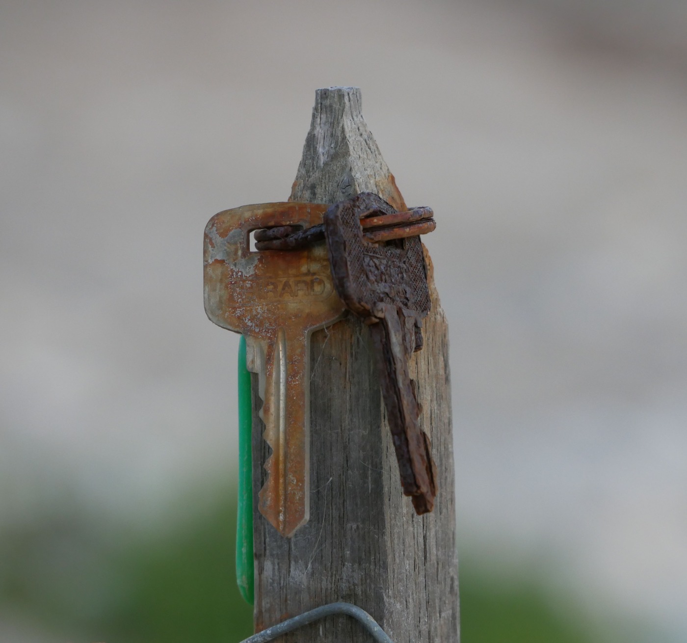 P1040843 rdx2