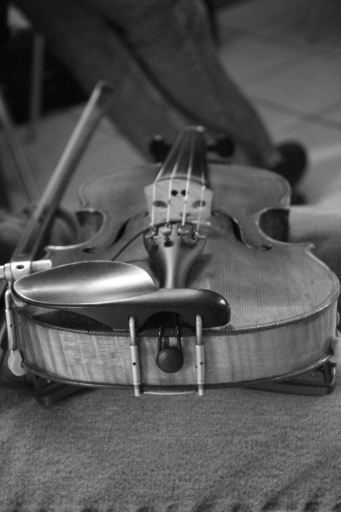 Violon2