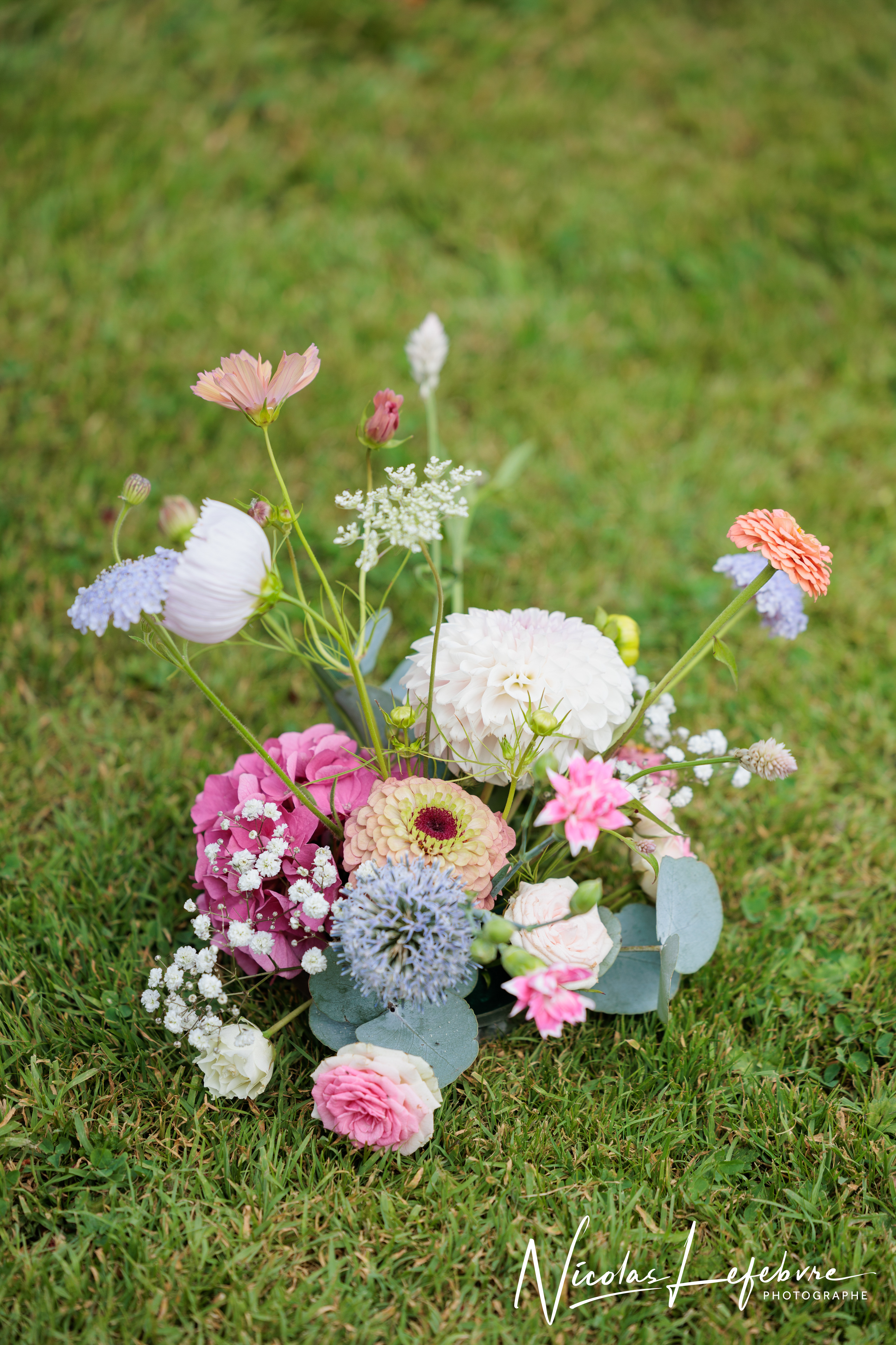 Mariage de m s signe 179 sur 358 