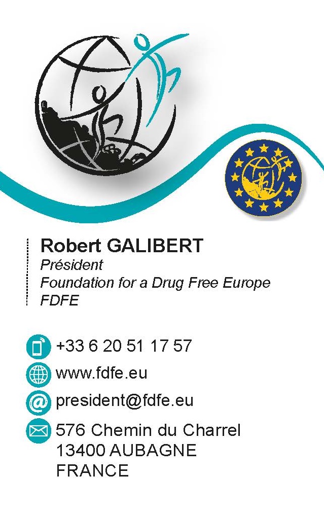 Cv robert galibert 54x85 v3 page 1 copie