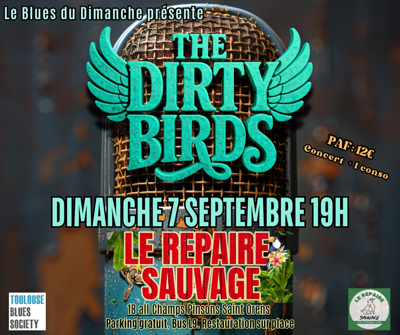 07 09 2025 31 pinsons saint orens