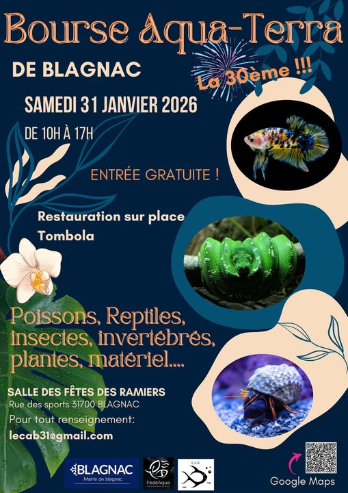 31 01 2026 31 blagnac