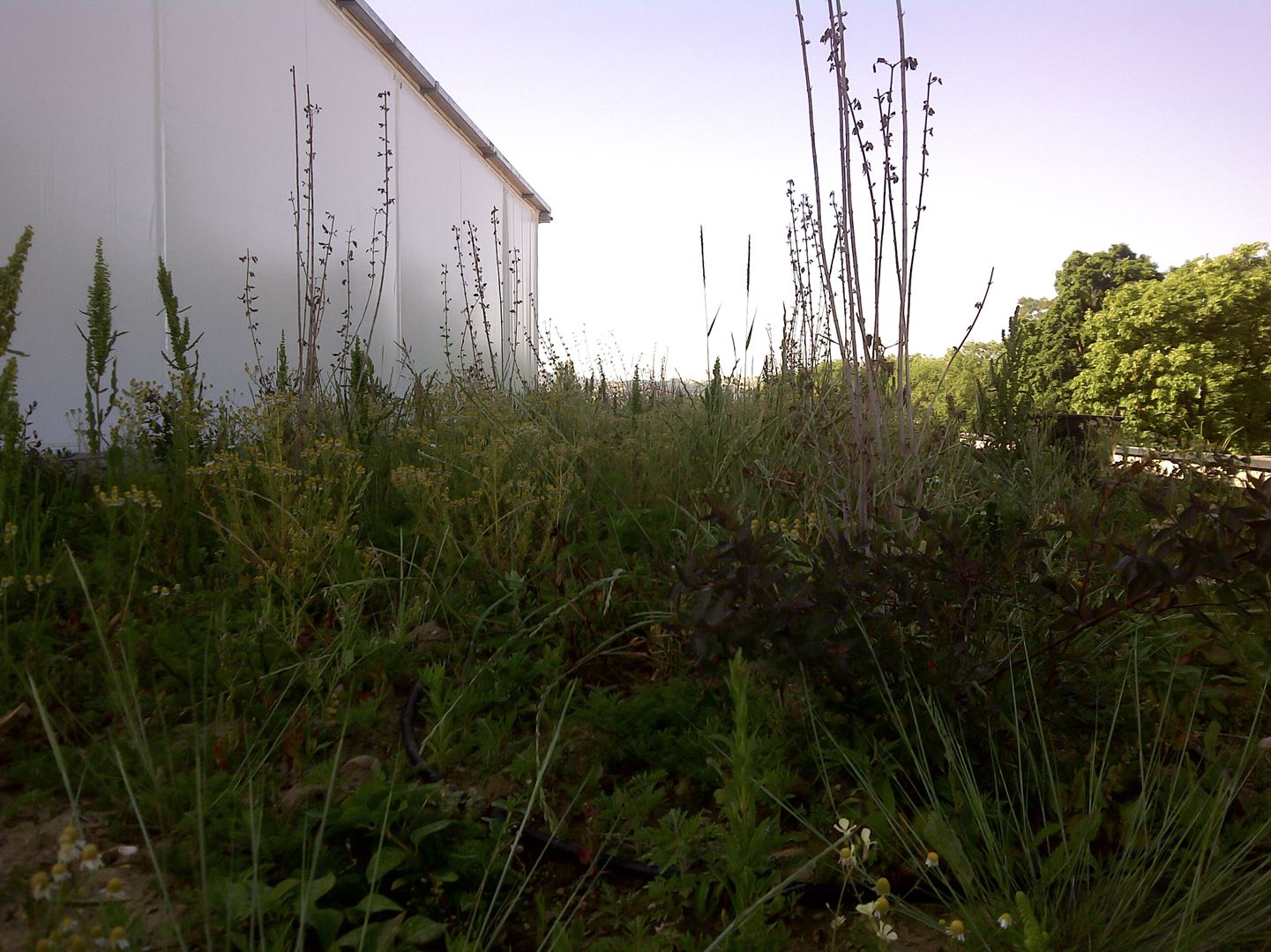Img 20110525 00711