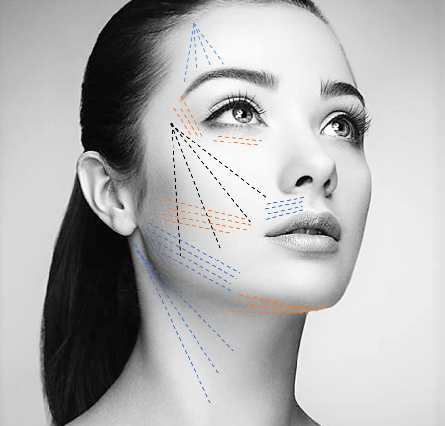 Marquage Visage sans noms de fils