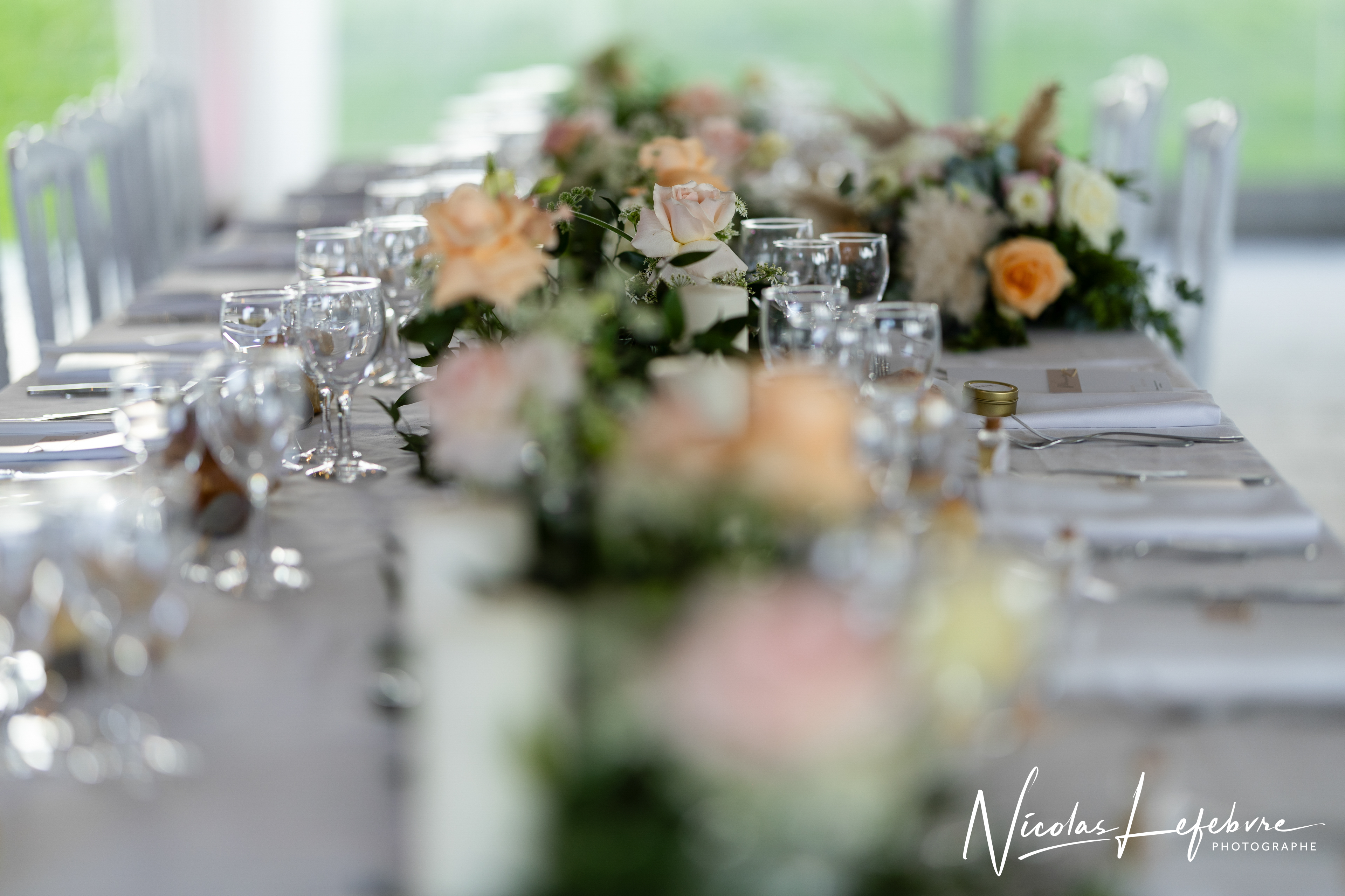 Nicolas lefebvre photographe 150 sur 275 