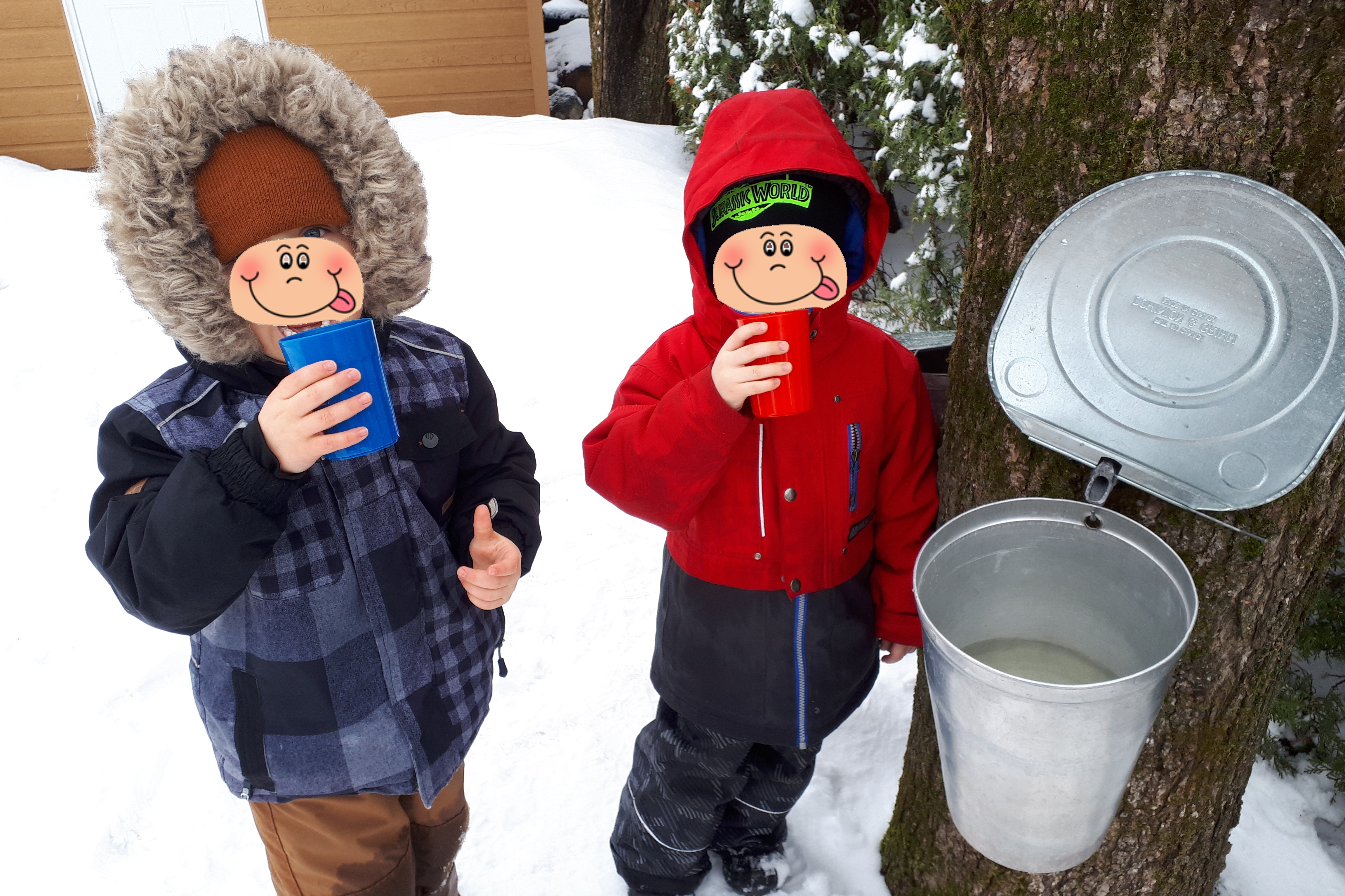 20220324 degustation d eau d erable