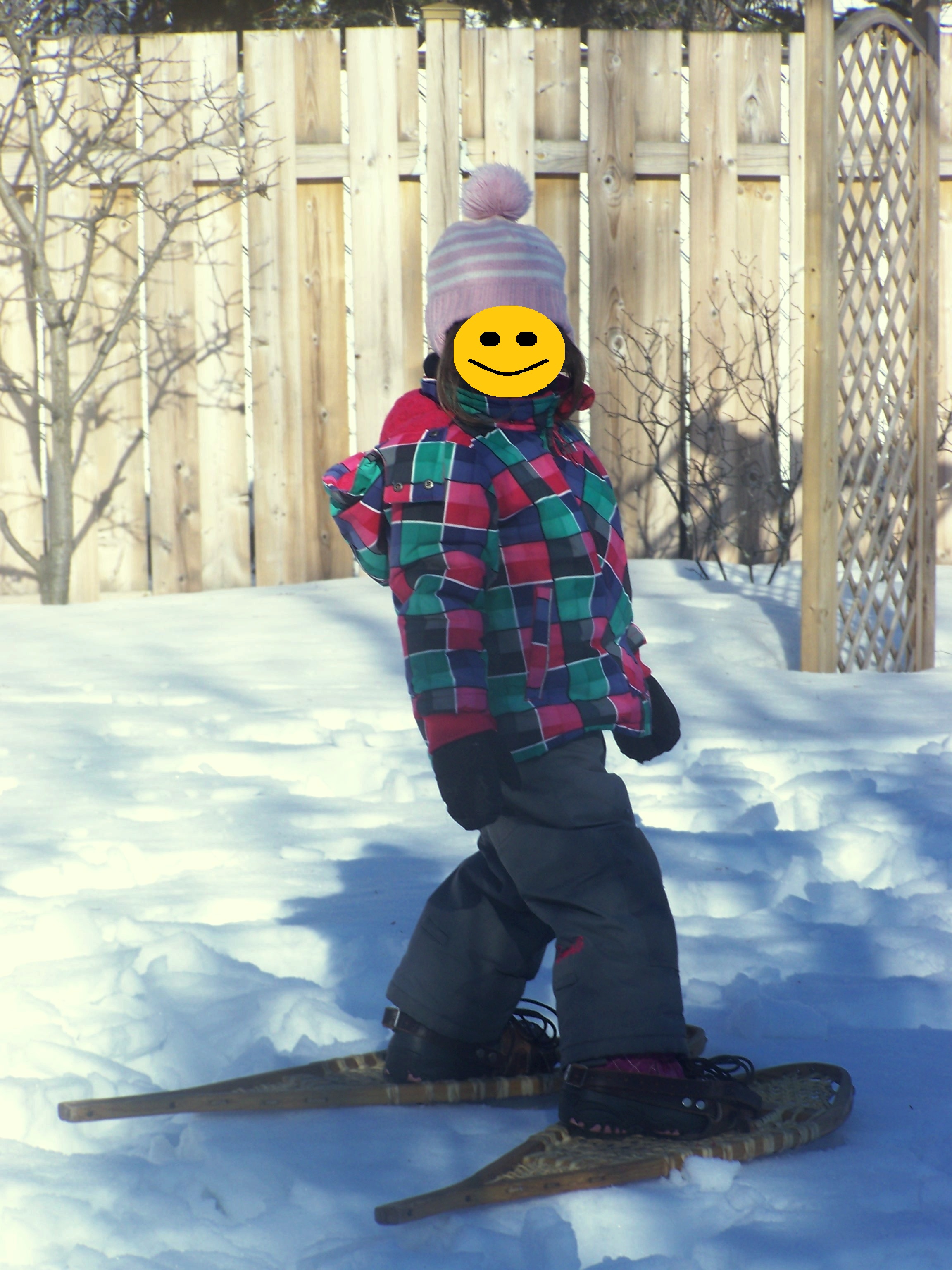 20150312 pommes raquette 2 