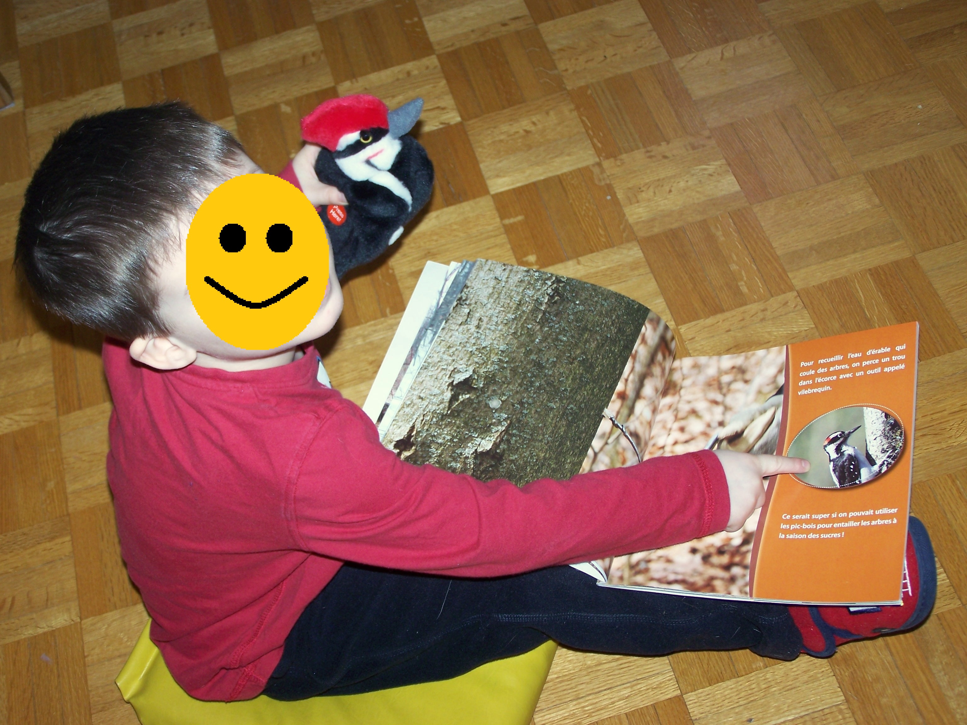 20150311 soleils lecture libre 6 