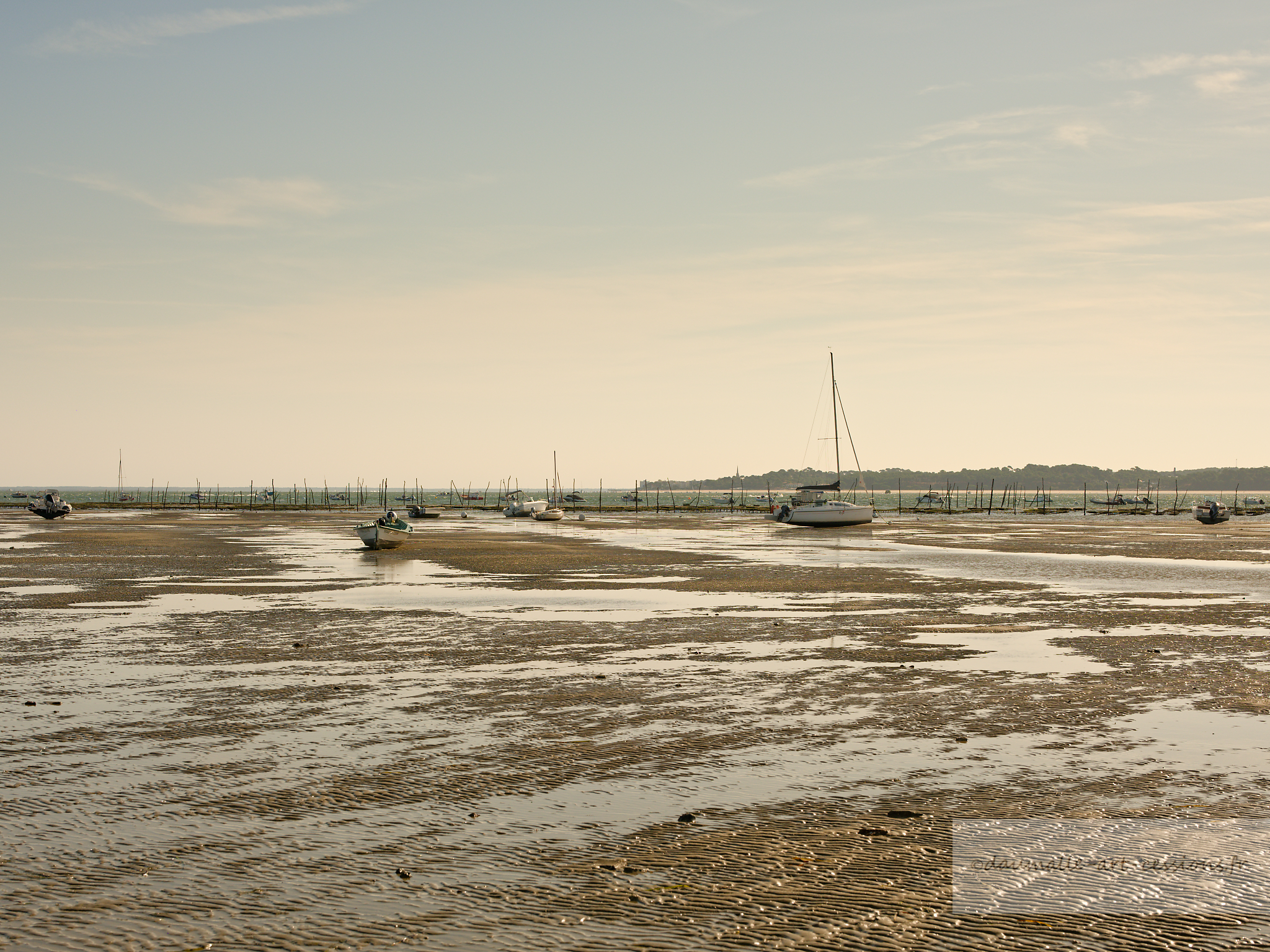 3 dscf5331 dxo 2808 2026 site