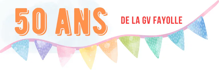50-Ans-Bandeau-
