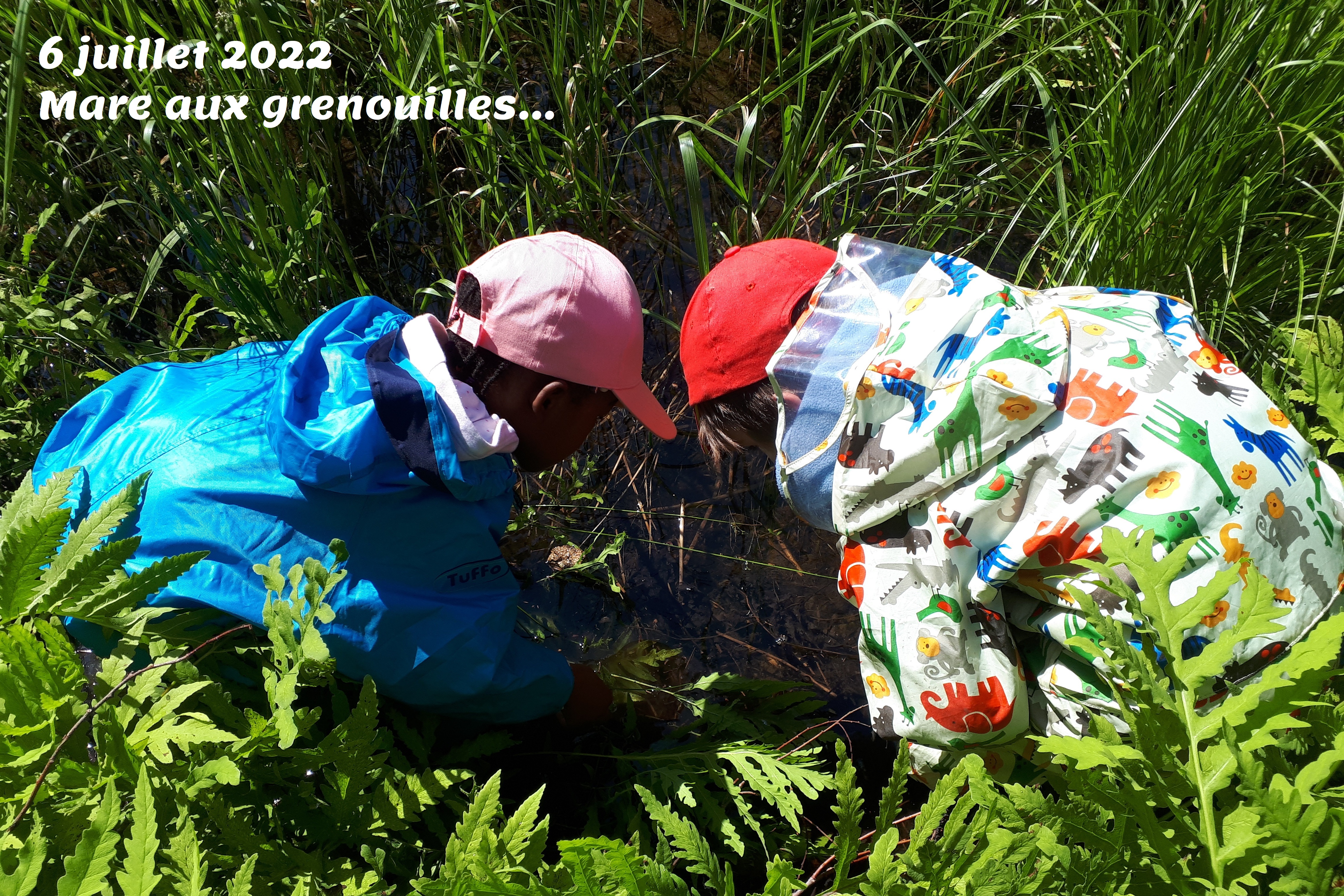 20220706 102117