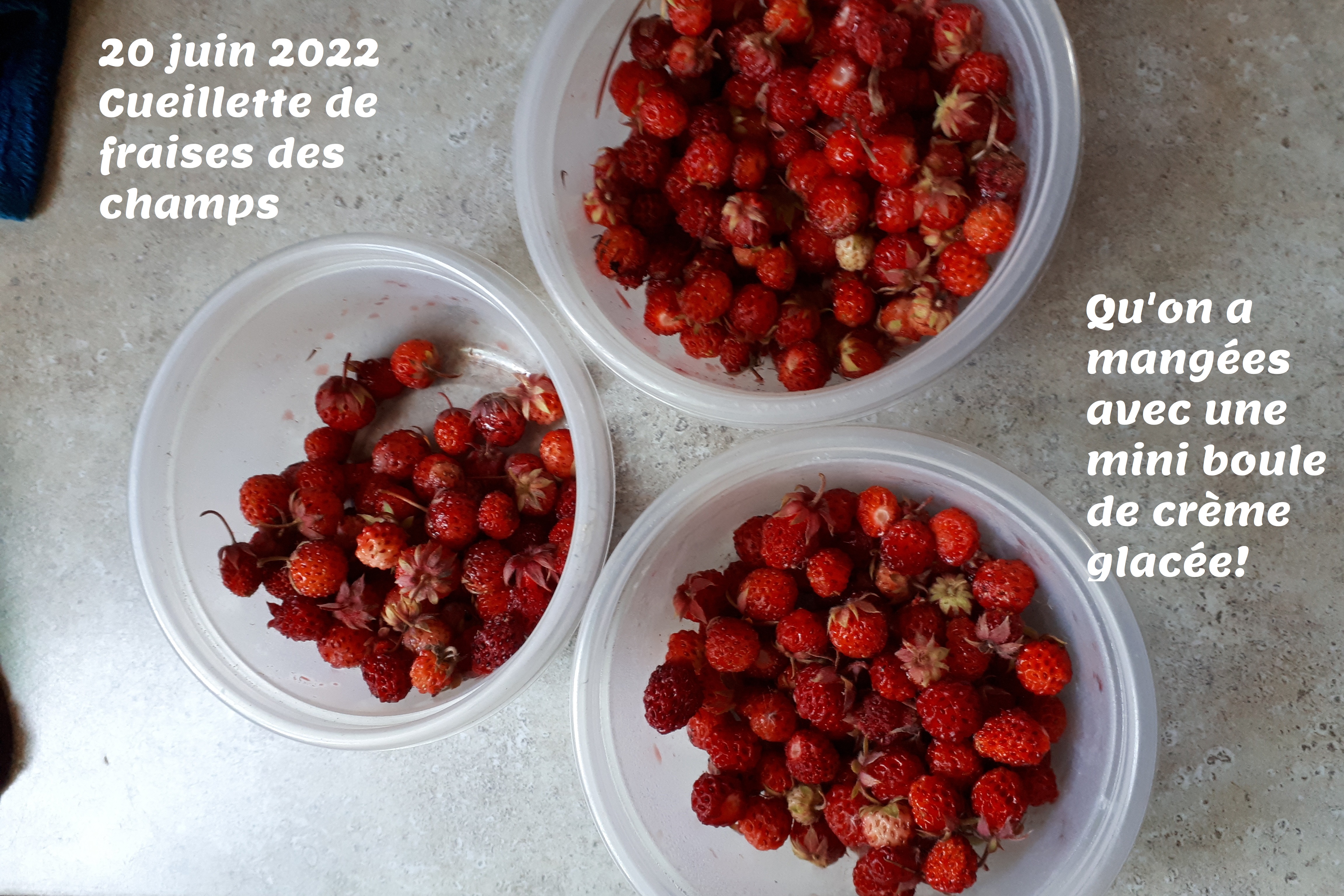 20220620 121308