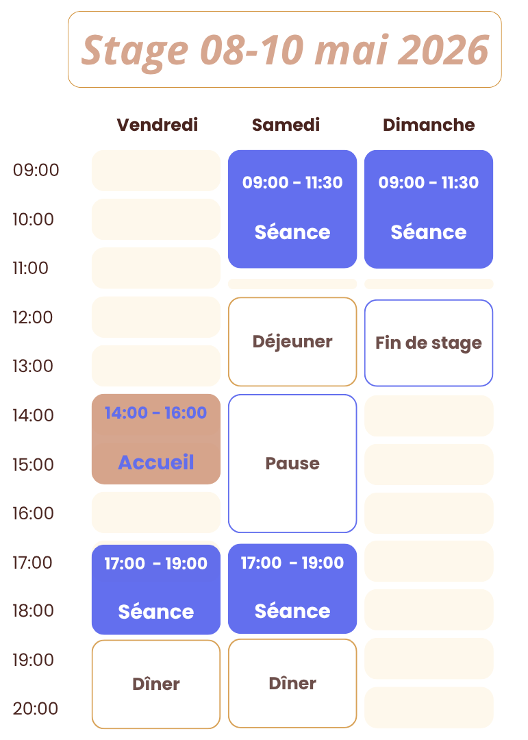 6 stage 8 mai