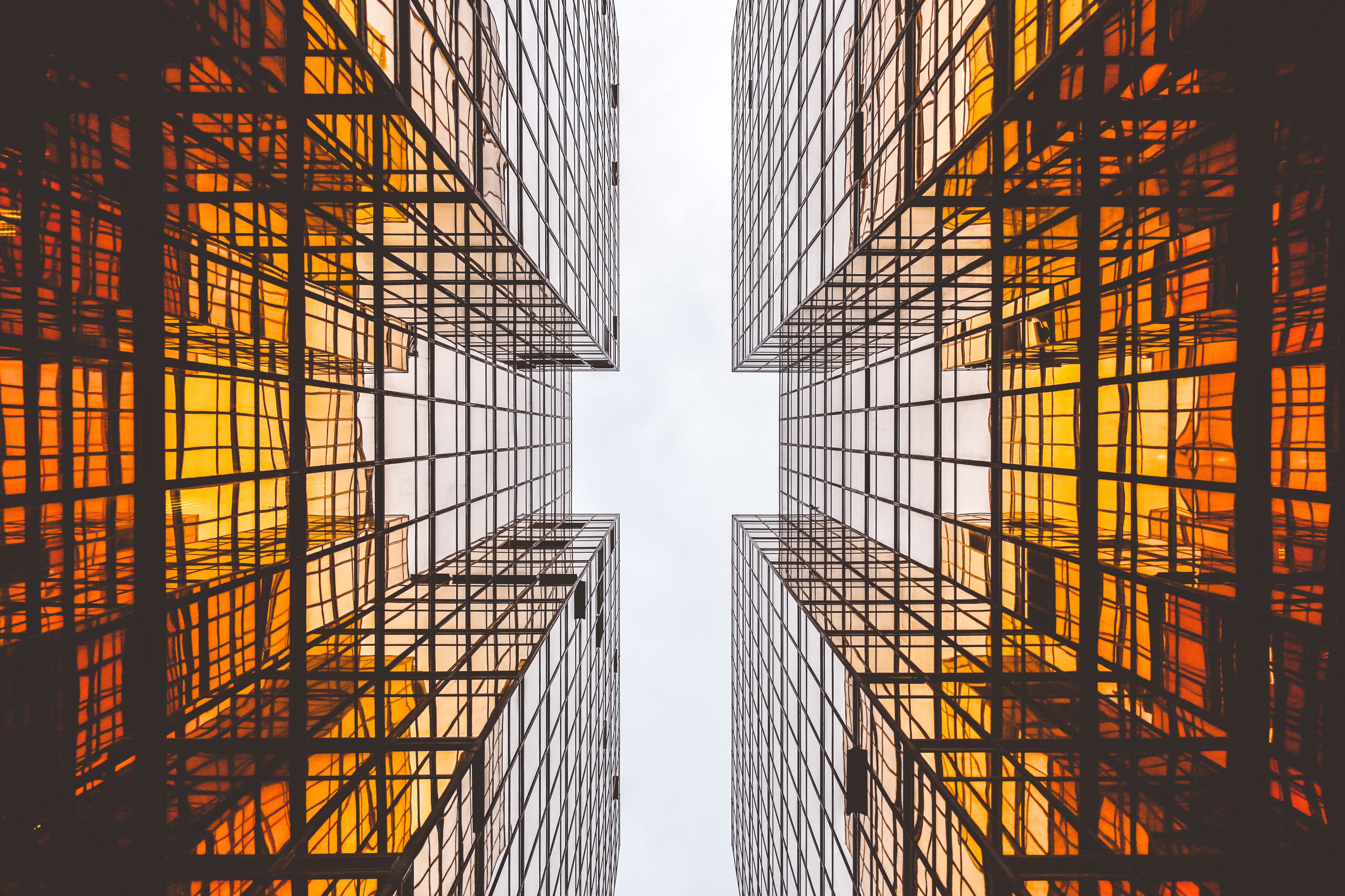 Alex wong l5tzv1alcps unsplash