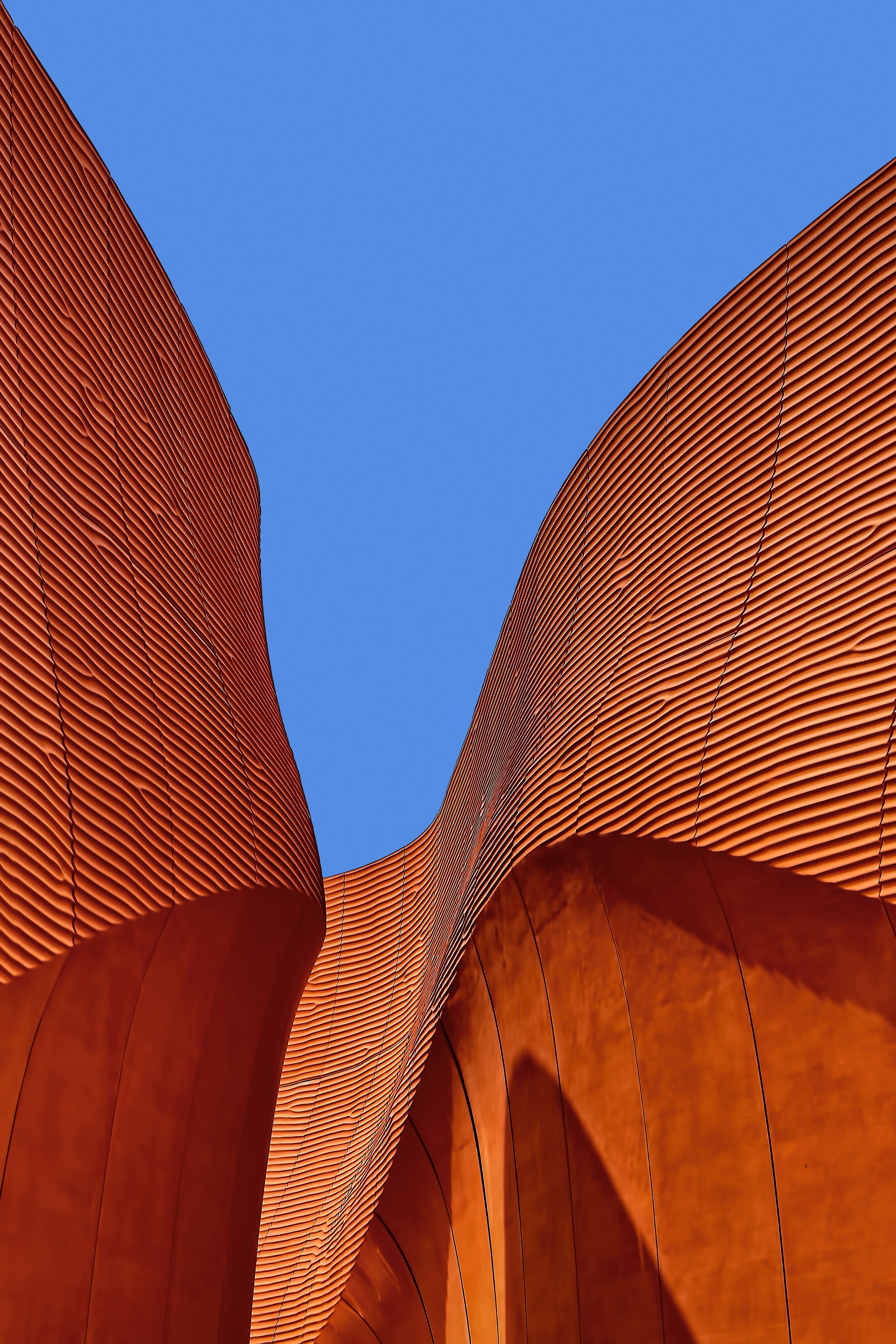 Ricardo gomez angel pzyicwohtfu unsplash