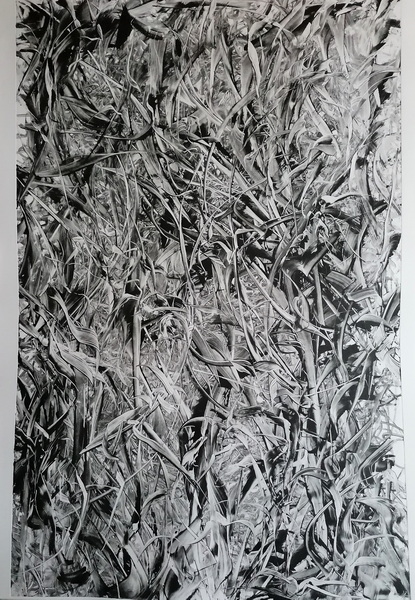Anne-Dorselaer-2