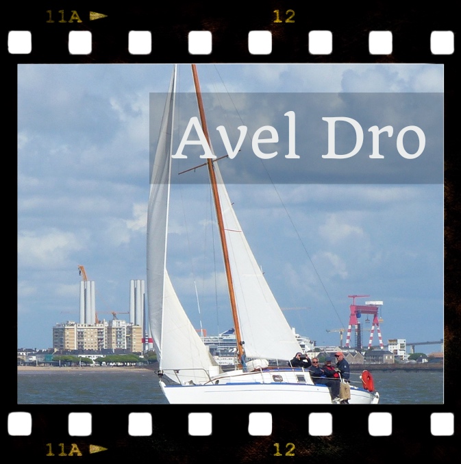 AvelDro-Film
