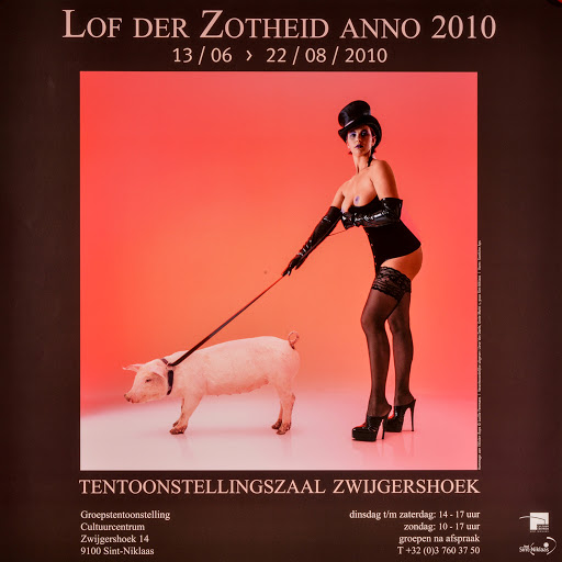 Lof der Zotheid 2010 - affiche - Lucasgezellen - Kunst in de Stad - Fotoclub Tereken - de Koninklijke Wase Kunstkring - de Koninklijke Fotogroep Waasland - Kunstkring Kallipègè - Graphia - Parrèsia vzw - Fotoclub Visie, Foto- en Videoclub Flash - de Wase Onderwater foto- en filmvrienden - Video- Film- Foto- diaclub Close-up Sint-Niklaas vzw - de Belseelse Kunstvrienden - Kunstkring Sander Wijnants - Jan Stremens - André Vereecken - Luc Van Driessche - Gaby Cleuren - Paul Dekker - Jan Piet Cornelis - Lucille Feremens - Annemie De Gendt - Sint Niklaas