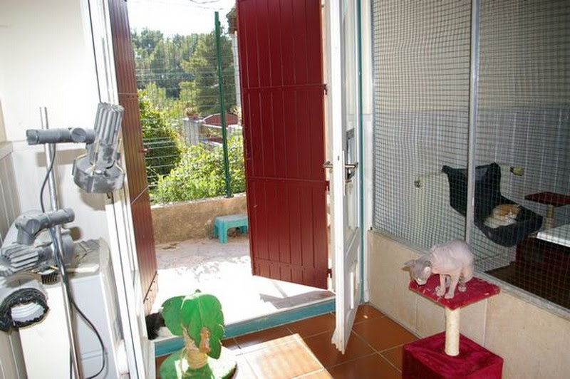 Garconniere2