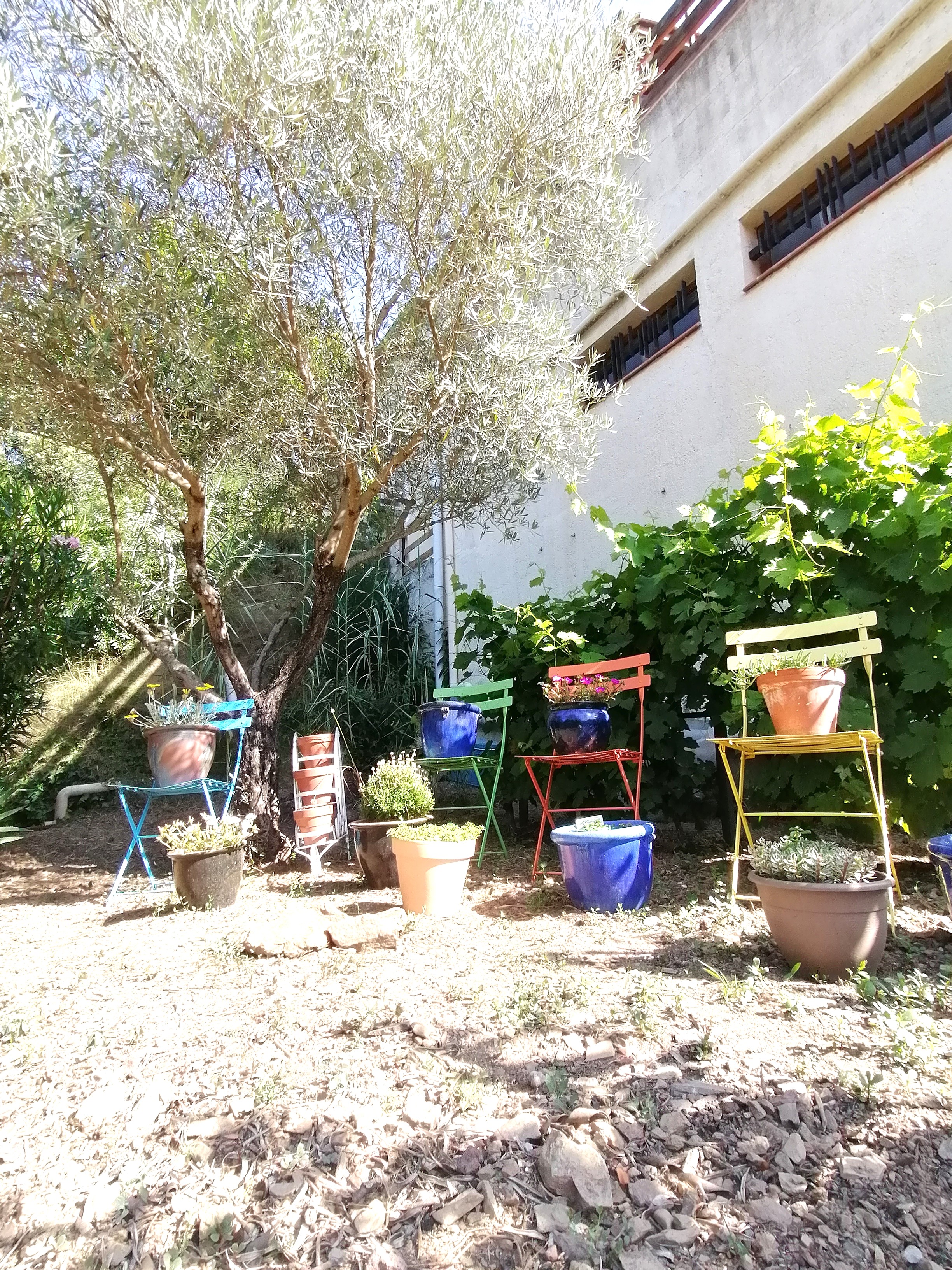 Jardin dev5b