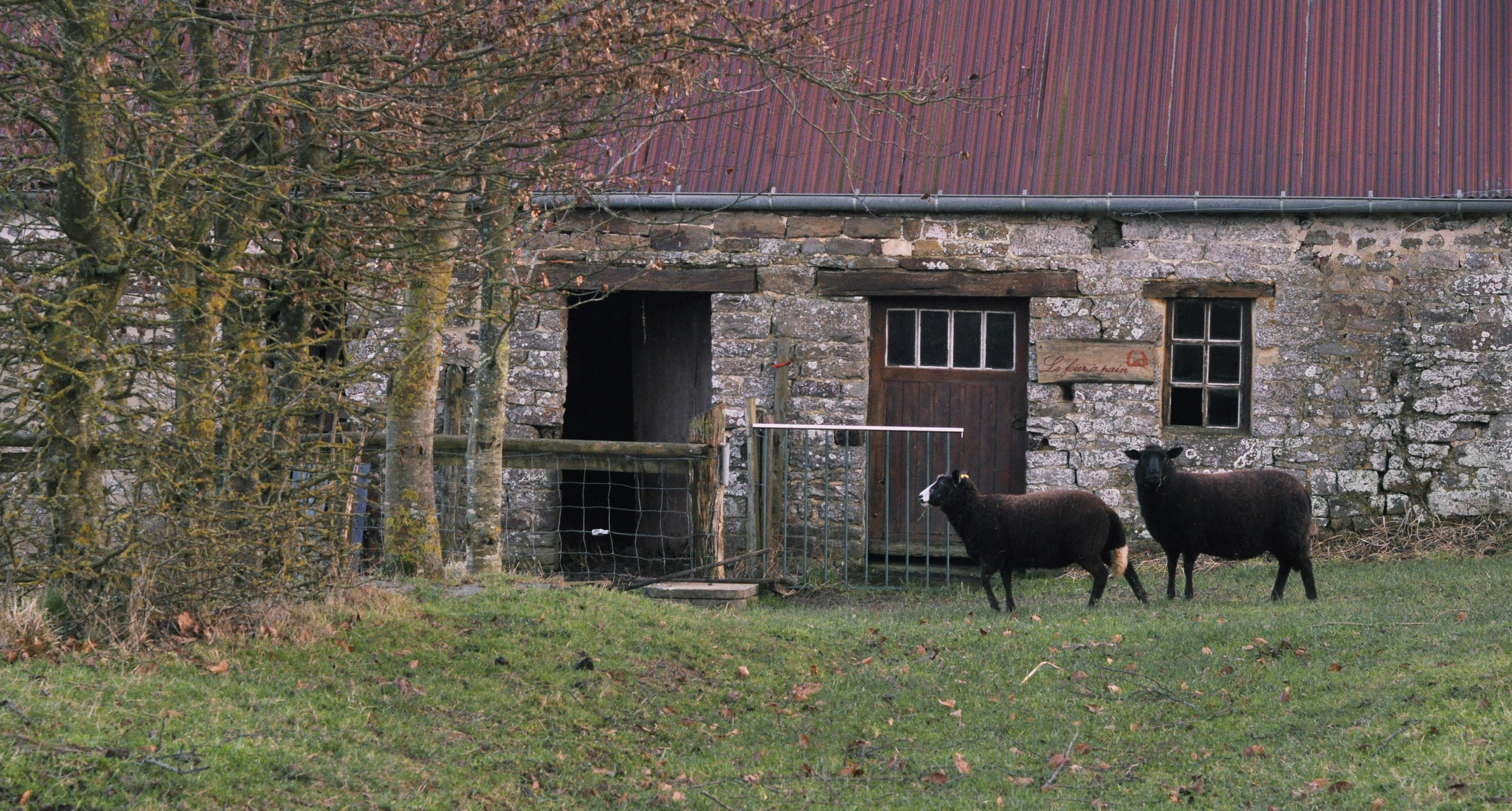La ferme pédagogique biologique de 20 ha comprend le bois, l'étang, le verger, le potager et le parc animalier. 
Vous pourrez y découvrir de nombreux animaux. Des ateliers, animations et de balades vous y sont proposés.