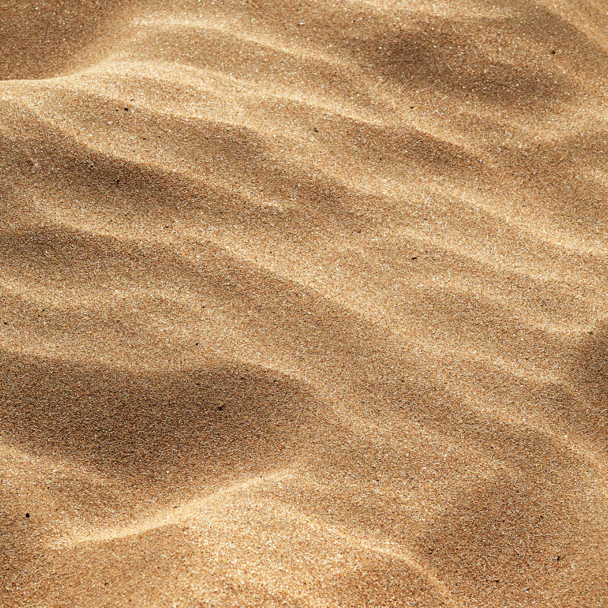 Sable-cotard