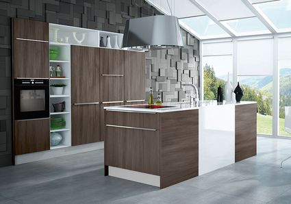 Design de cuisines syncron olm 002 mr