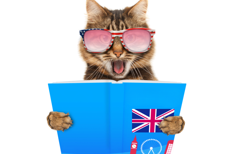 cours, langue, francais, allemand, anglais, sprooch, franseisch, englesch, daitsch